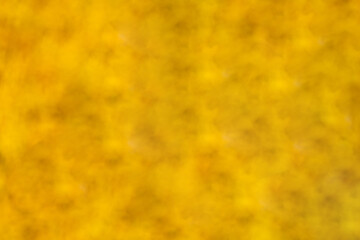 blurred yellow background. yellow color blurred background. yellow blurred background with nobody