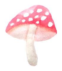 Vector watercolor illustration of mushroom amanita. Botanical illustration, hand-drawn. typography, textiles pillows, dresses, curtains, notepads, designer paper. A separate isolated element.
