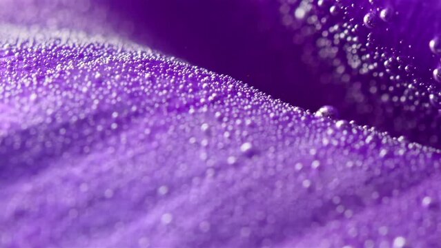 Close-up of bright flower in water with bubbles. Stock footage. Purple flower bud with refreshing bubbles. Small bubbles on flower petals for perfume