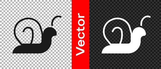 Black Snail icon isolated on transparent background. Vector