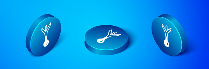 Isometric Onion icon isolated on blue background. Blue circle button. Vector