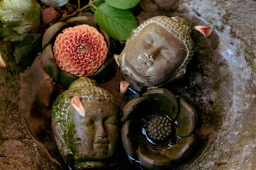 Steinerne Buddha Köpfe mit Blüten im Gartenbrunnen