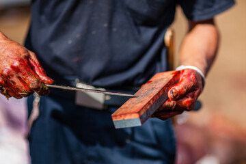 Butcher with blood in hands, sharpening knife, getting ready for sacrifice of buffalo, Toraja...