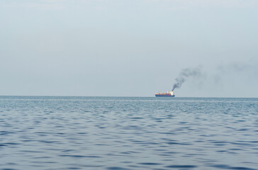 A view through the trees of a freighter moving across the sea in the distance.