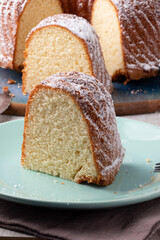 Focus on delicious cake covered with icing sugar.