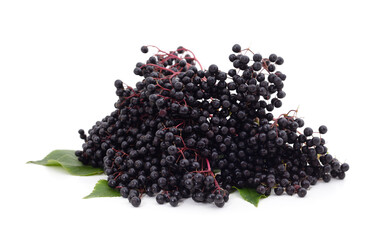  Ripe elderberry berries.
