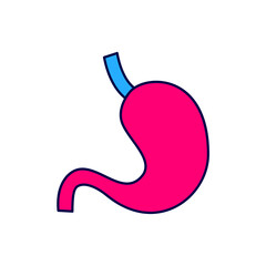 Fototapeta premium Filled outline Human stomach icon isolated on white background. Vector