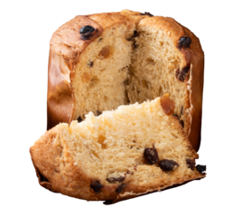 Panettone. Typical Christmas party food. png transparent background