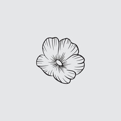 Handdrawn Magnolia Flower Beauty Illustration Icon