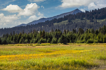 Meadow and mountains at Silver Salmon Creek, Lake Clark National Park and Preserve, Alaska