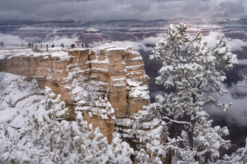 USA, Arizona, Grand Canyon National Park. Tourists view snowstorm over canyon.