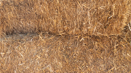 Haystacks close-up, autumn straw background