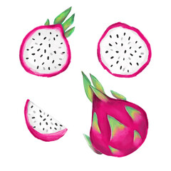 Hand drawn watercolor Pitaya Fruit. Dragon Fruit set isolated on a white background. 