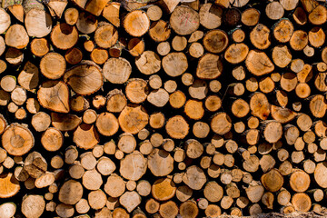 chopped logs for winter fire.