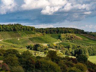 Obraz premium Weinberge im Herbst