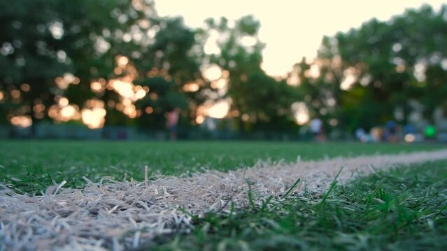 Football lawn close-up, football players in the background. Football in the background. Training for Game