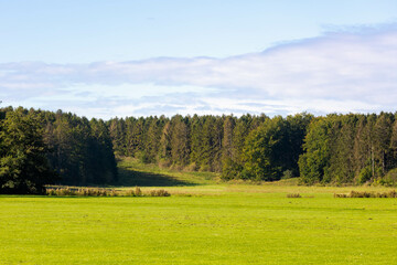 Landscape view of Amsterdamse bos with green grass lawn and forest,  Beginning of autumn with colour of trees about to change and blue sky, Beautiful nature background, Amsterdam, Netherlands.