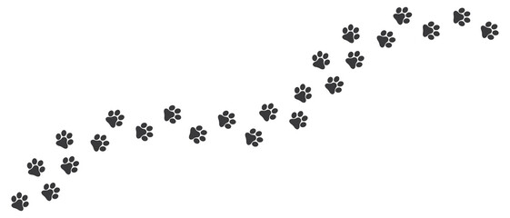 Dog paws vector trail. Foot print of cat. Animal diagonal track for t-shirt, background, pattern, child prints