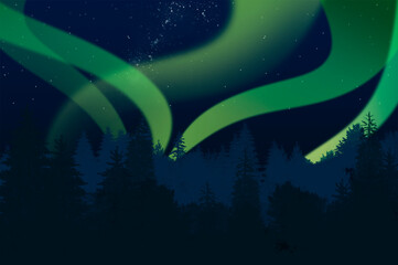 Fototapeta na wymiar Amazing northern lights over the conifer forest in North pole