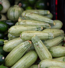 zucchini at farmers market