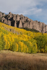 USA, Colorado, Uncompahgre National Forest. Mountain and forest in autumn.
