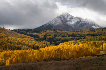 USA, Colorado, Uncompahgre National Forest. Sunshine Mountain and forest in autumn.