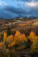 USA, Colorado, Uncompahgre National Forest. Autumn forest and Sneffels Range.