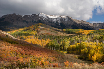 Naklejka na ściany i meble USA, Colorado, Uncompahgre National Forest. Autumn forest and Sneffels Range.