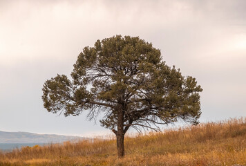 USA, Colorado, Lone tree