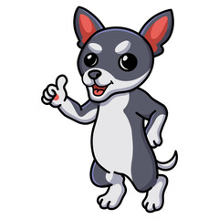 Cute chihuahua dog cartoon giving thumb up