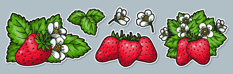 Ripe strawberry cute cartoon stickers pins patches. Whole red berries leaves flowers. Healthy eco food hand drawn sticker for greeting card, poster, print for clothes, flyer, emblem, scrapbooking tag
