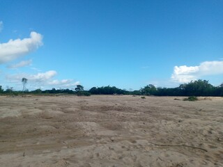 plowed field and sky