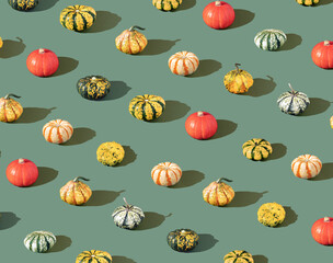Autumn pattern colorful pumpkins..Minimal concept Halloween or autumns . .Pumpkins in yellow, green i orange. on pastel green color background
