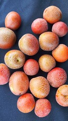 Parinari obtusifolia,