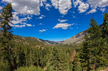 Ebbetts pass on a pretty summer day 