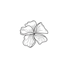 flower leaf line art for wedding template