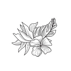 Fototapeta premium flower leaf line art for wedding template