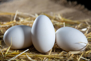 Natural eggs in the henhouse