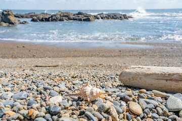 青空の海と砂浜のイメージ 