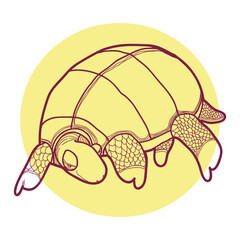 Hand drawing vector illustration of tortoise with simple style