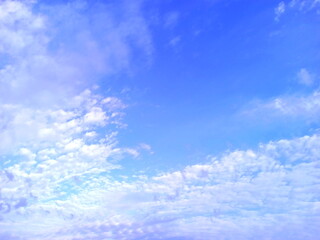 Fototapeta na wymiar 秋晴れ　鱗雲　鰯雲