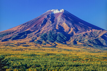 Fototapeta premium 富士山 