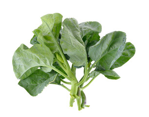 chinese kale on transparent png