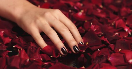 Woman, manicure hands or petals from red rose in studio after spa, self love luxury or fashion nails design. Zoom, texture flowers background or model fingers after wellness salon for nail polish art - Powered by Adobe
