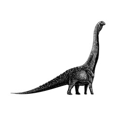 Patagotitan hand drawing vector illustration isolated on background © tya studio