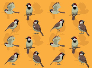 House Sparrow Poses Cute Cartoon Character Seamless Wallpaper Background