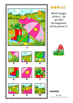 Visual logic puzzle with umbrella, gumboots and happy frog outdoor at rainy summer or autumn day: Which images of the 2 - 10 are NOT the fragments of the picture 1?
