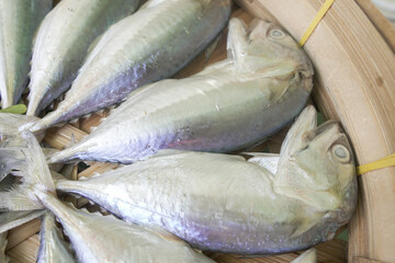 Mackerel seafood for sale in Thailand market, select focus.