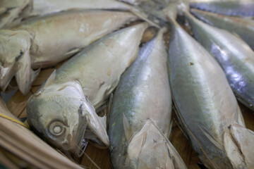 Mackerel seafood for sale in Thailand market, select focus.