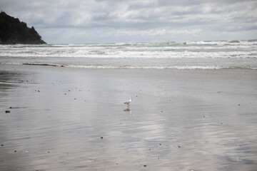 Waihi Beach, Coromandel